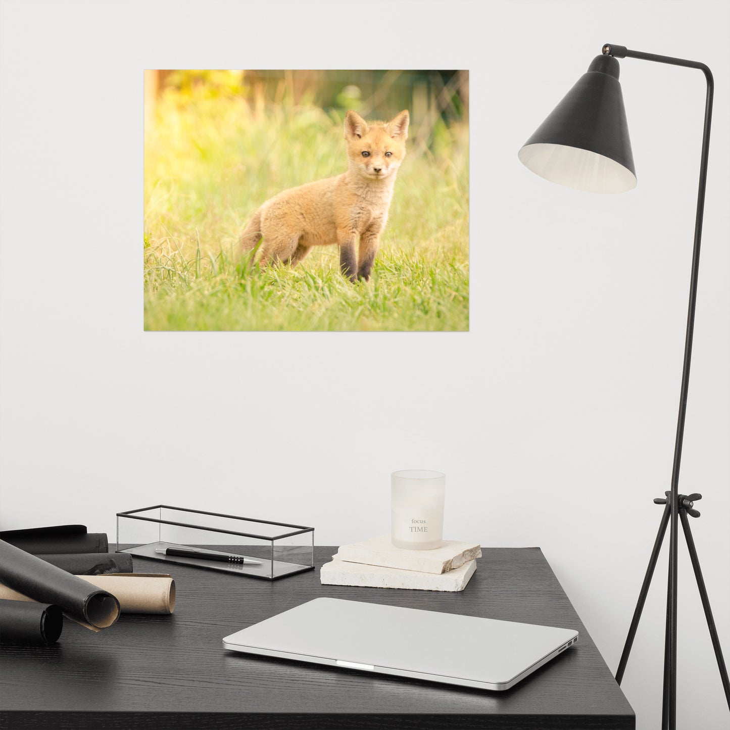 Baby Red Fox in the Sun Loose Wall Art Print