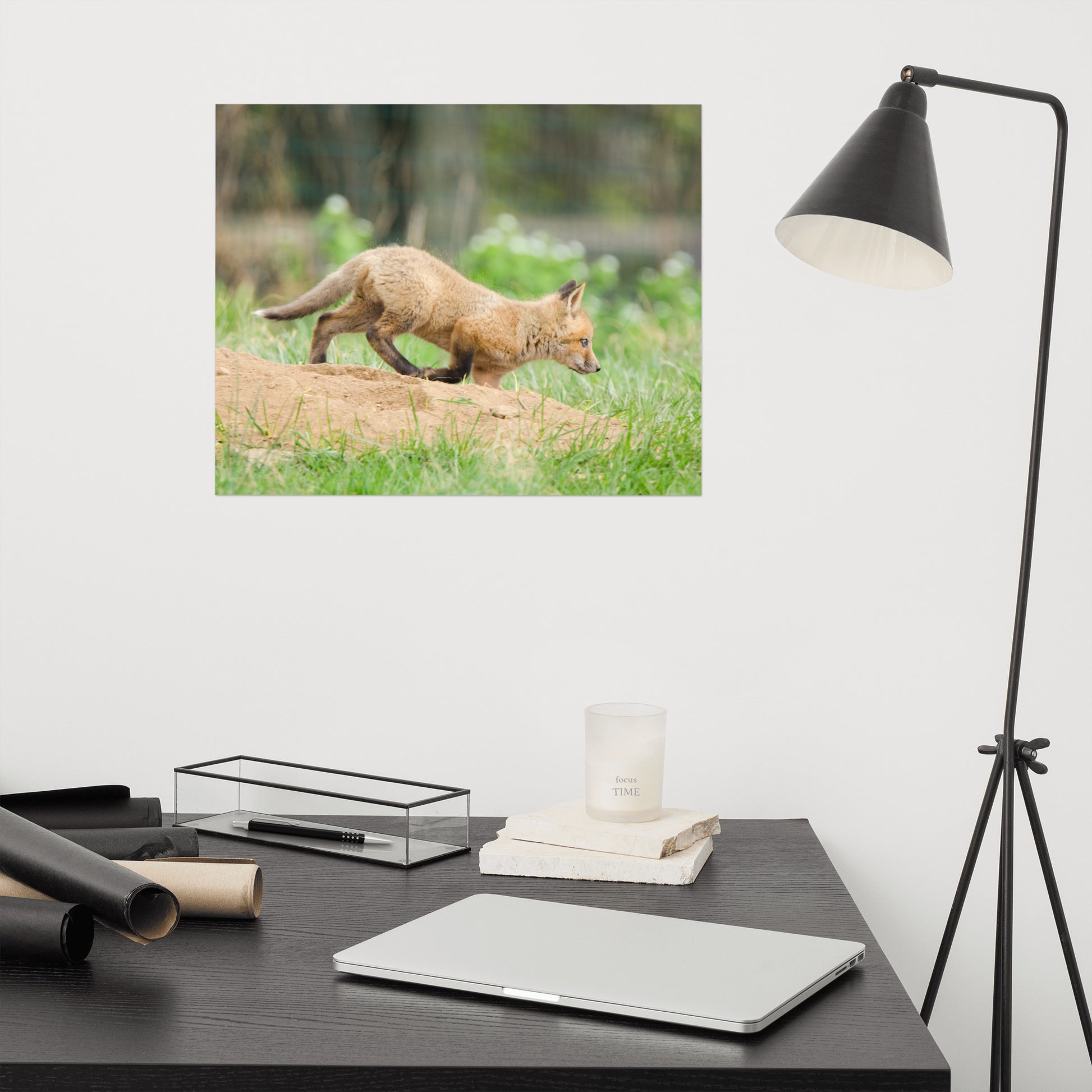 Animal Wall Decor For Nursery: Fox Pup In Meadow Animal / Wildlife Photograph Loose / Unframed / Frameless / Frameable Wall Art Prints