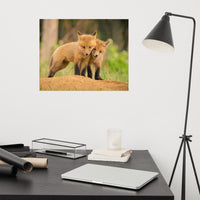 Baby Red Foxes Close to You Loose Wall Art Print