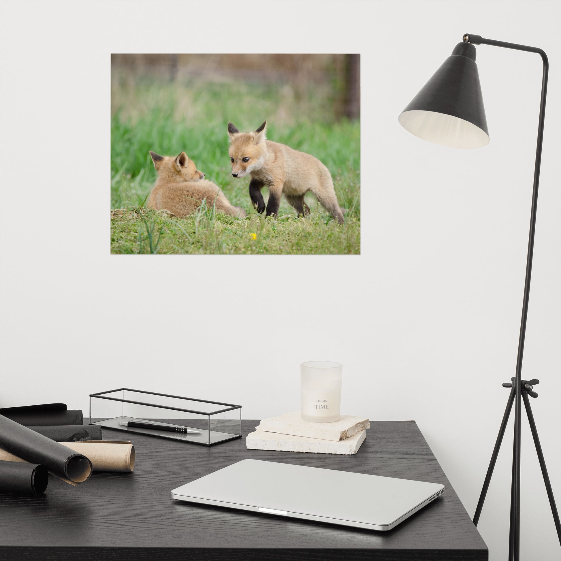 Rustic Bedroom Art: Fox Pups / Kits - Coming to Get You Animal / Wildlife Photograph Loose / Unframed / Frameless / Frameable Artwork