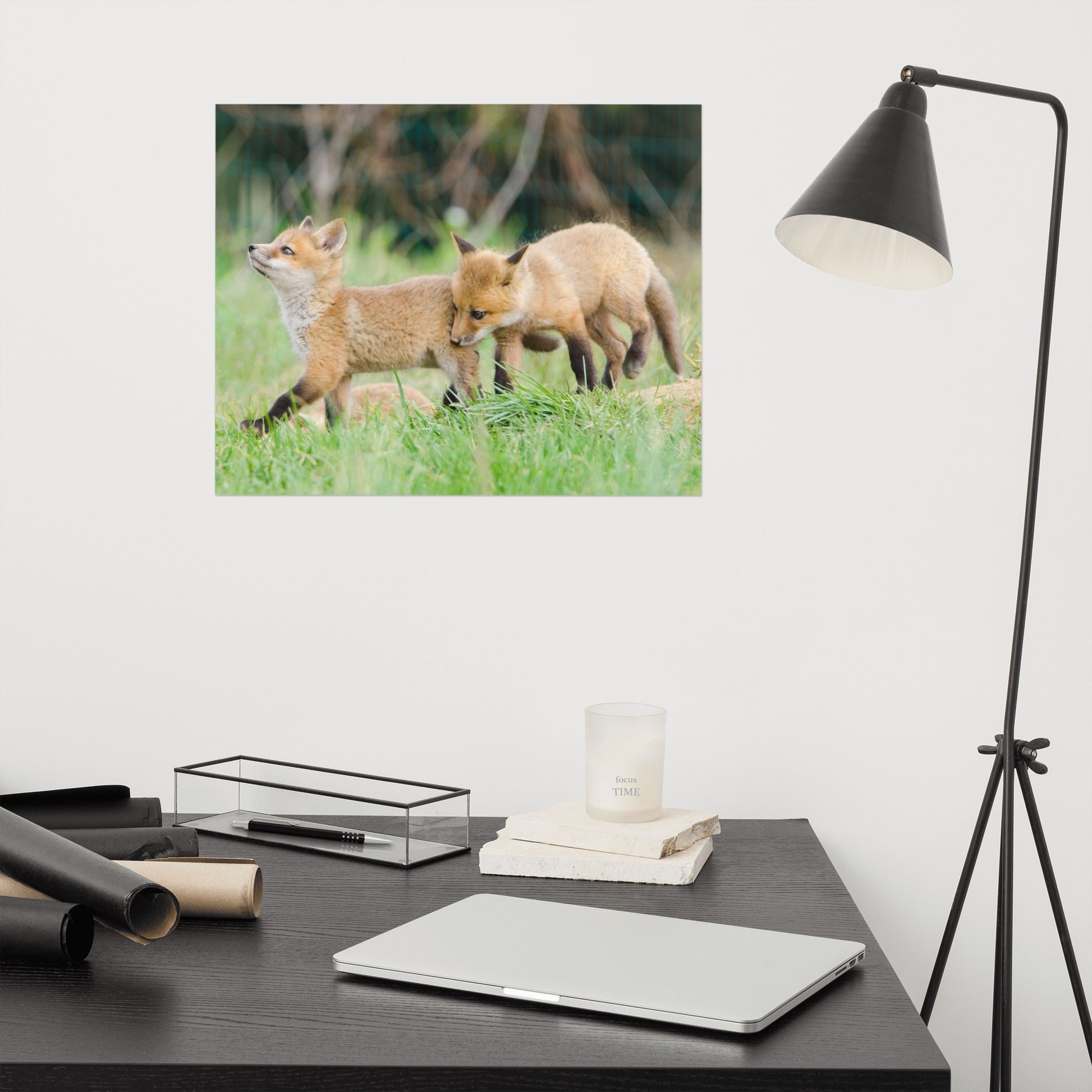 Amazon Nursery Wall Art: Playful Red Fox Pups In Field Animal / Wildlife Photograph Loose / Unframed / Frameless / Frameable Wall Art Prints