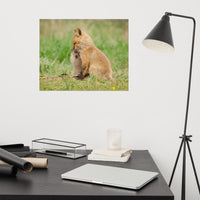 Baby Red Foxes Sibling Kisses Loose Wall Art Print