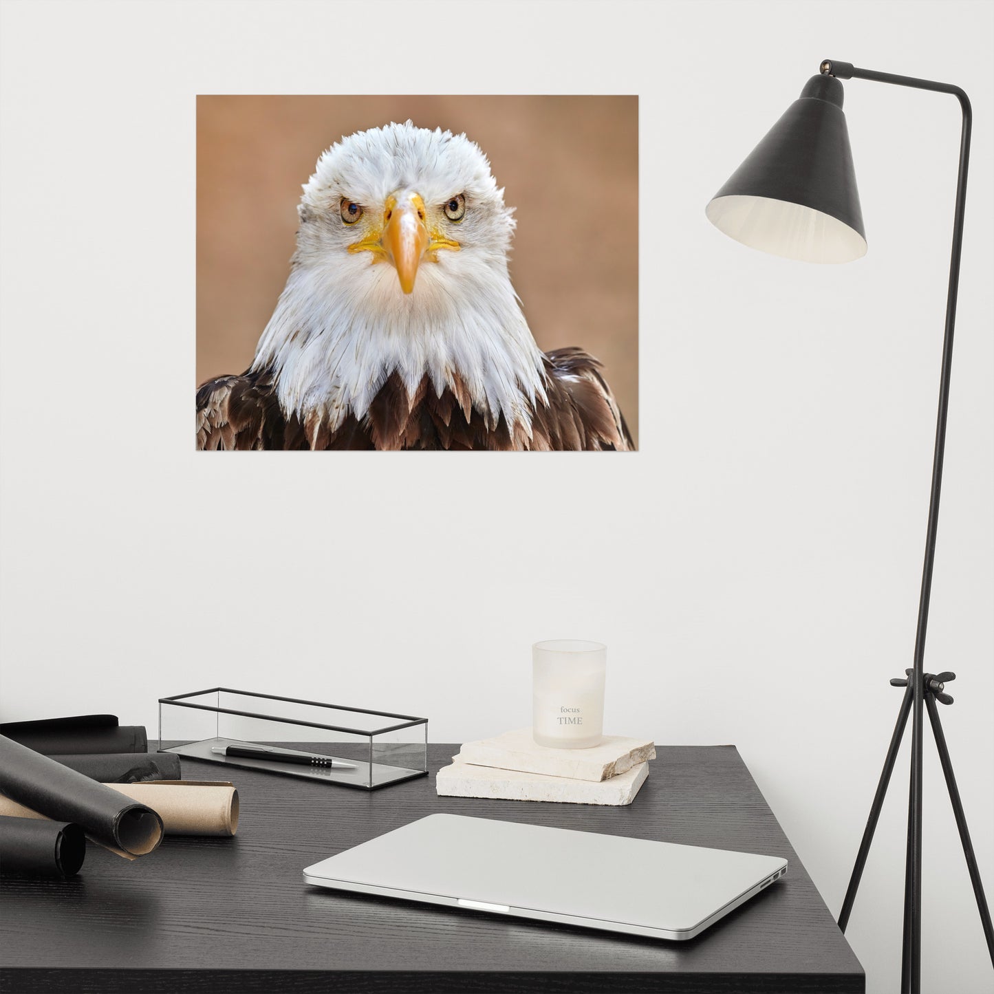 Bald Eagle Portrait Close-up 2 Loose Wall Art Print