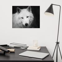 Black and White Portrait of White Wolf In The Forest Loose Wall Art Print