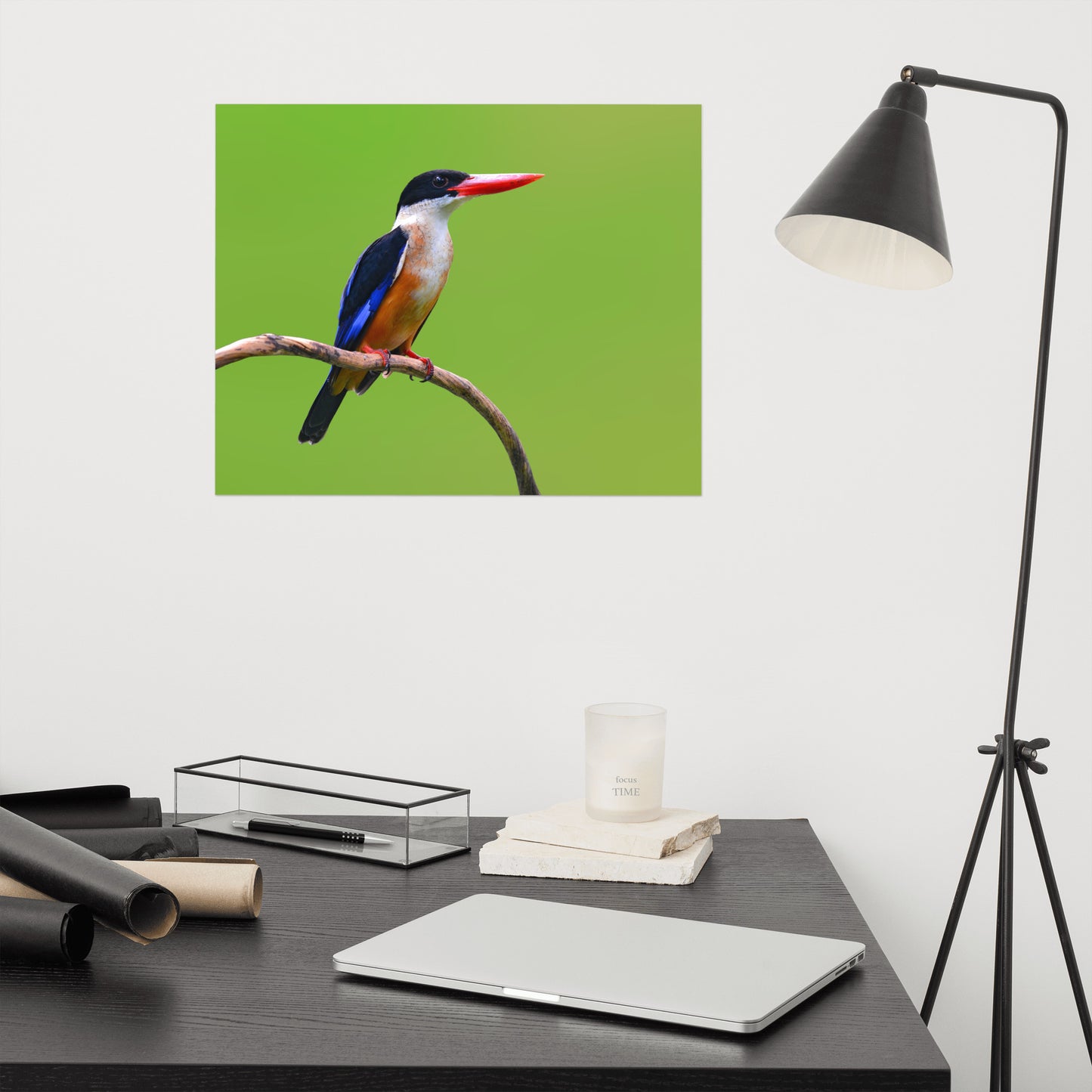 Black Capped Kingfisher Bird on Perch Loose Wall Art Print