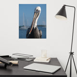 Bob The Pelican 3 Color Loose Wall Art Print