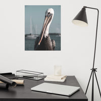 Bob The Pelican 3 Colorized Loose Wall Art Print