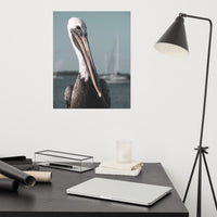Bob The Pelican 3R Colorized Loose Wall Art Print