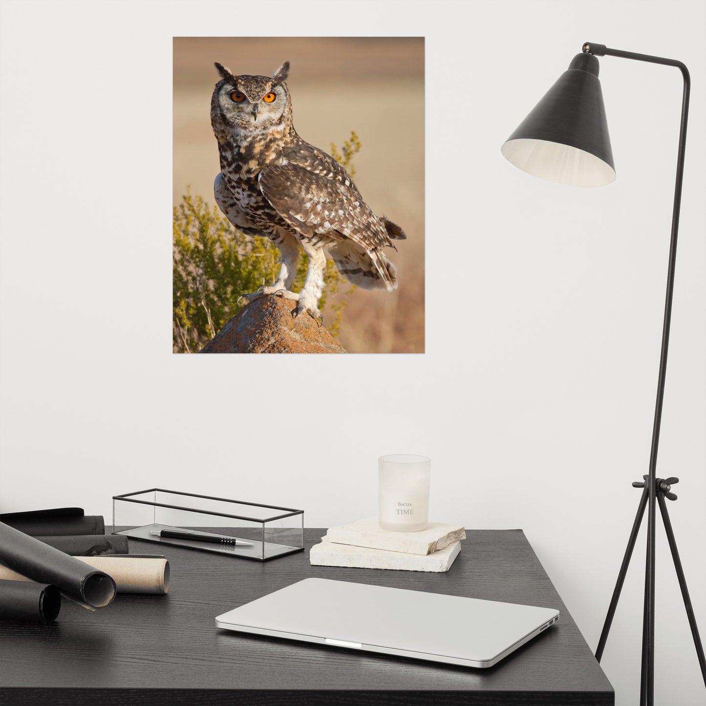 Cape Eagle Owl Rustic / Farmhouse Style Animal / Wildlife Photograph Loose Wall Art Print