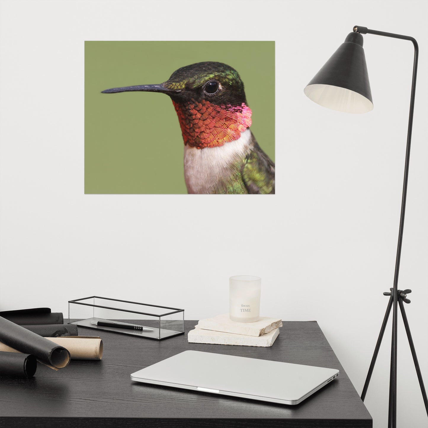 Close-up Ruby-throated Hummingbird Loose Wall Art Print