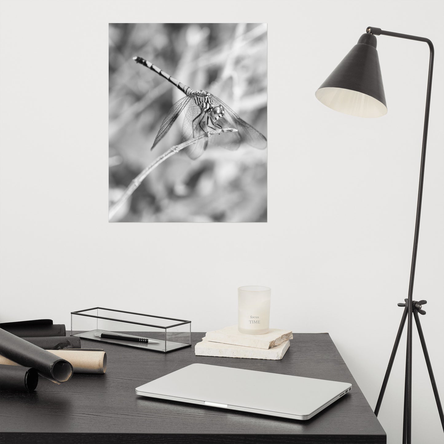 Dragonfly Black and White Loose Wall Art Print
