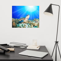Green Sea Turtle In Tropical Coral Reef and Sunbeams Animal Wildlife Photograph Loose Wall Art Print