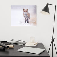 Happy Smiling Red Fox In The Snow Animal Wildlife Nature Photograph Loose Wall Art Print