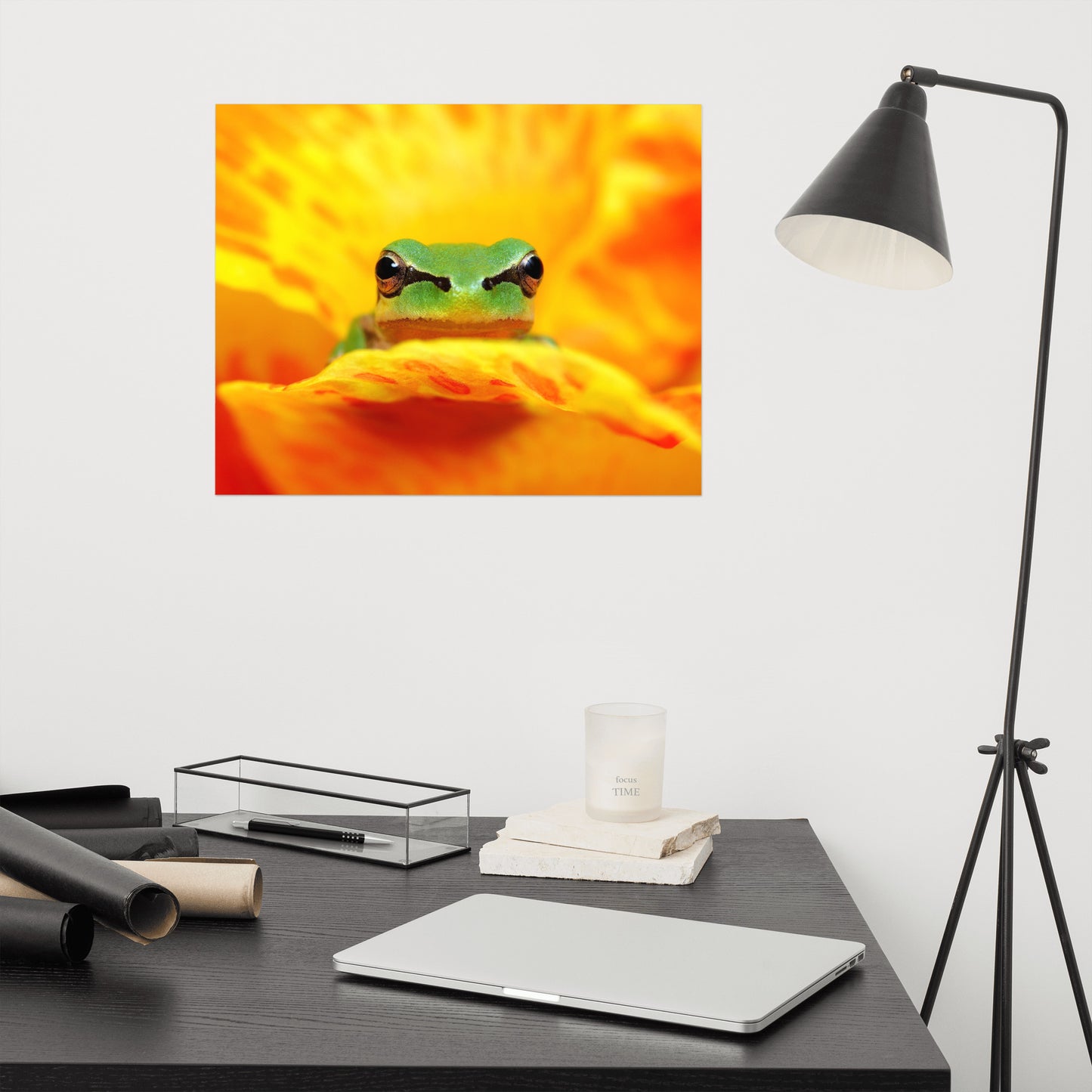 Hyla Green Frog on Yellow and Orange Flower Petals Wildlife Nature Photo Loose Wall Art Print