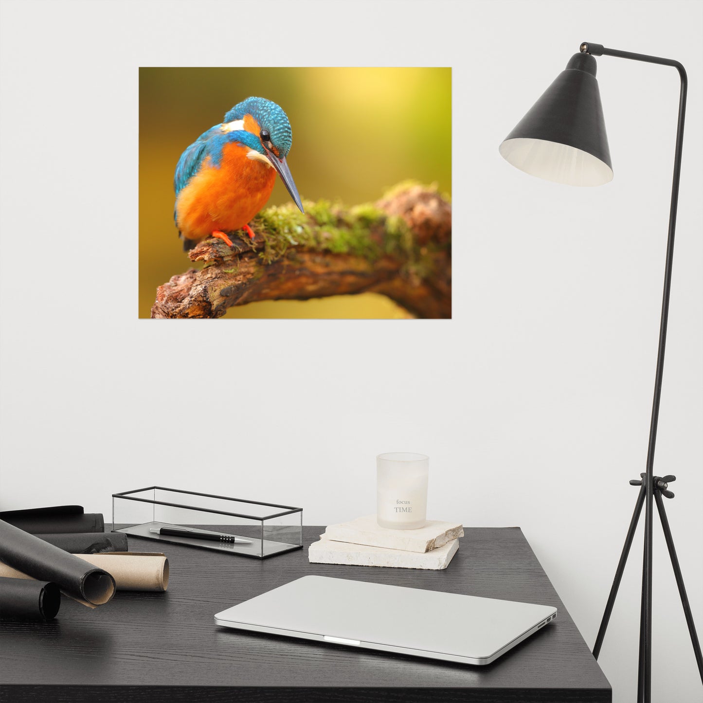 Kingfisher Bird on Perch 2 Loose Wall Art Print