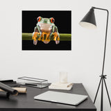 Red Eyed Tree Frog Sitting on Branch Animal Wildlife Nature Photo Loose Wall Art Print