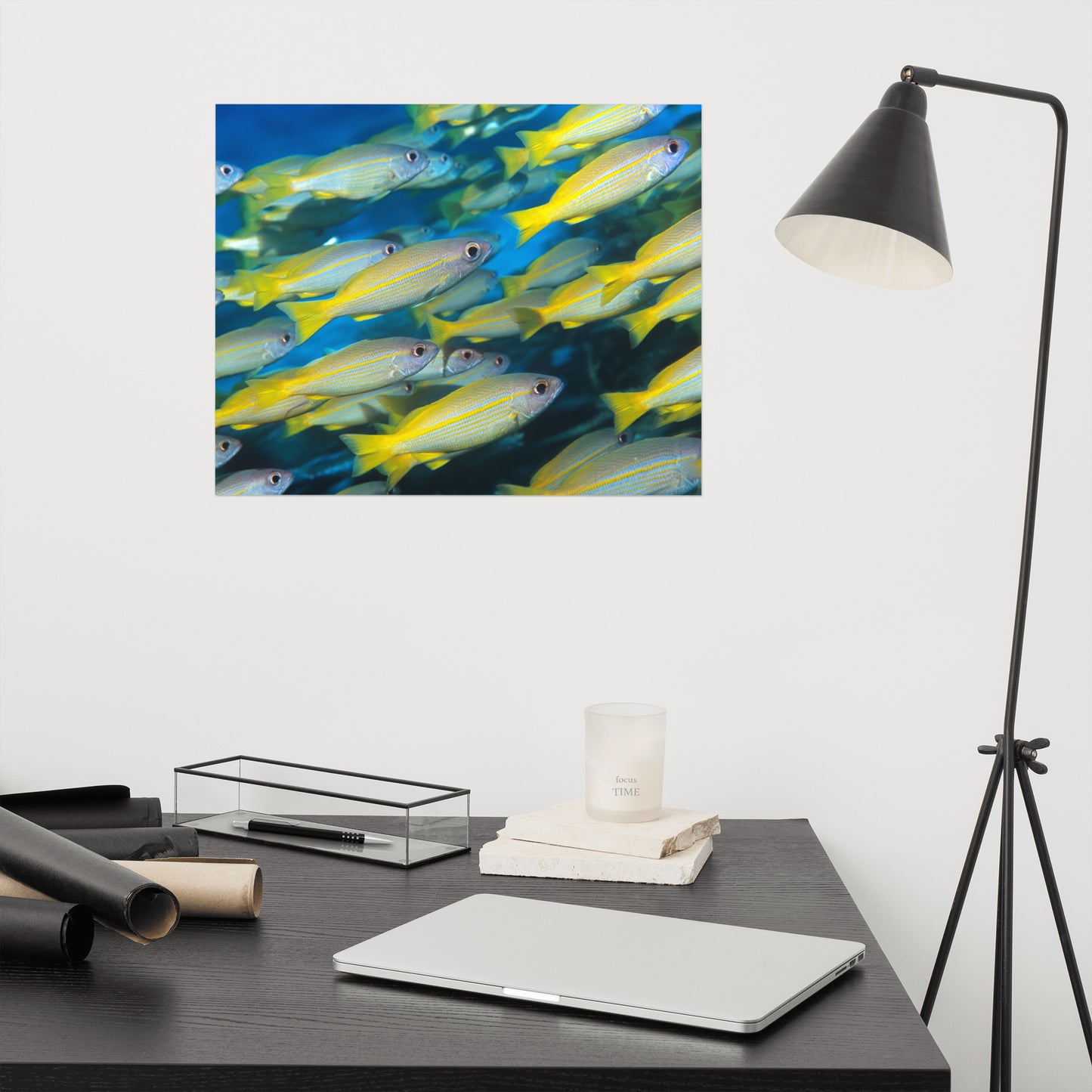 School of Yellow Tropical Fish in Blue Ocean Water Animal Wildlife Photograph Loose Wall Art Print