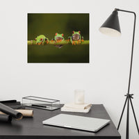 Three Tiny Green Red Eyed Tree Frog on Bamboo Branch Animal Wildlife Floral Nature Photograph Loose Wall Art Print