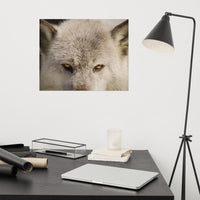Wolf Eyes Loose Wall Art Print