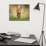 Young Female Red Fox In Forest Animal Wildlife Nature Photograph Loose Wall Art Print