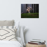 Brown Bear Walking Through Forest Wildlife Photo Loose Wall Art Prints