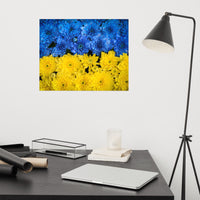 Blue and Yellow Chrysanthemums Nature Photo For Ukraine Refugees Loose Wall Art Print