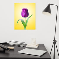 Purple Tulip on Yellow Minimal Floral Nature Photo Loose Wall Art Print