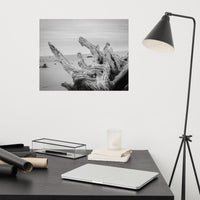Driftwood on Boneyard Beach Florida 4 Black and White Coastal Nature Photo Loose Wall Art Print