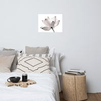 Lotus Flower Tinted Effect Floral Nature Photo Loose Flower Wall Art Print
