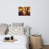 Old Magical Tree in Forest with Glory Rays Landscape Photo Loose Wall Art Prints