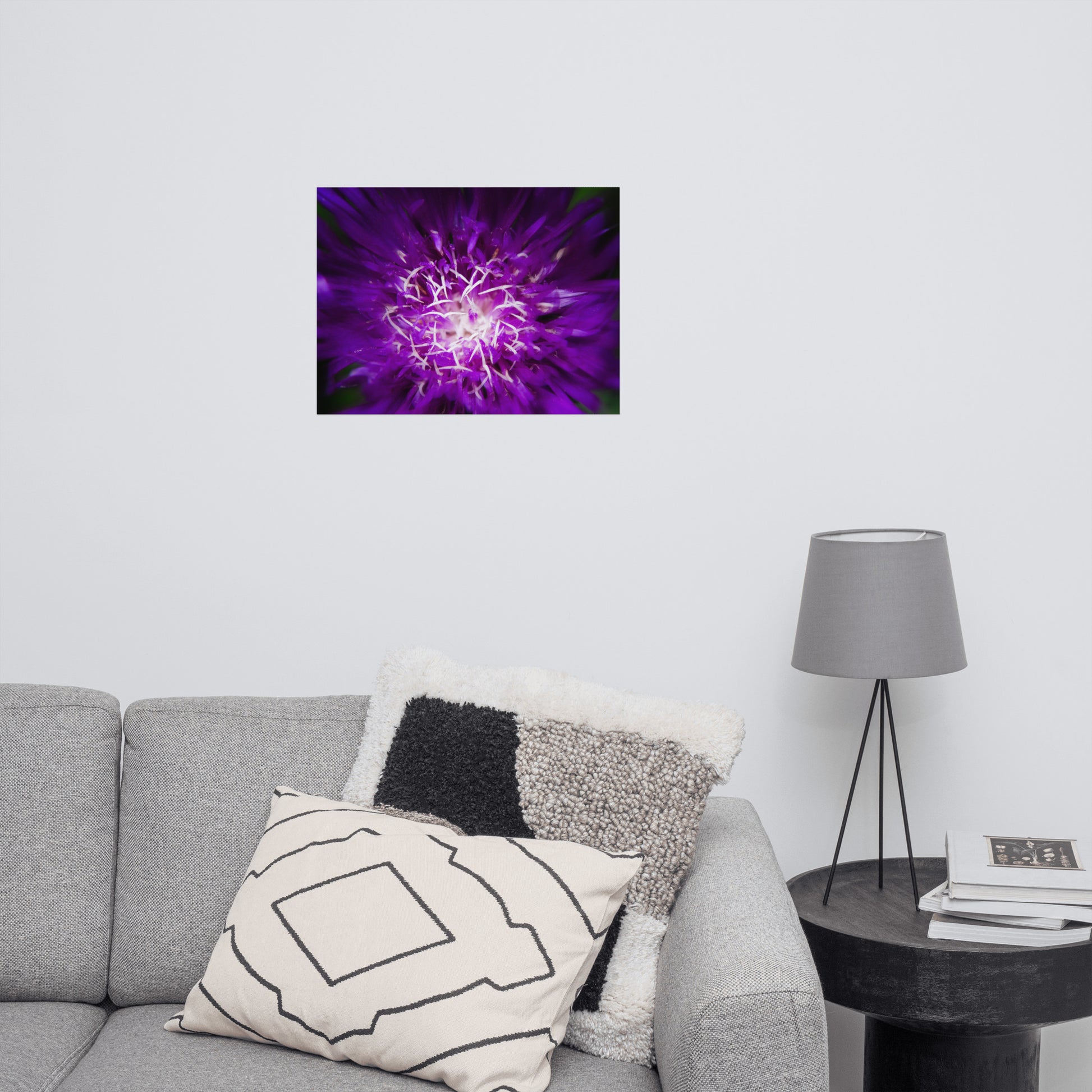 Living Room Nature Art: Dark Purple and White Aster Bloom Close-up - Botanical / Floral / Flora / Flowers / Nature Photograph Loose / Unframed / Frameless / Frameable Wall Art Print - Artwork