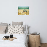 Daydreams on the Shore Coastal Nature Photo Loose Unframed Wall Art Prints