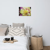 Delicate Columbine Floral Nature Photo Loose Unframed Wall Art Prints