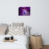 Eye of Iris Floral Nature Photo Loose Unframed Wall Art Prints