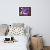 Glowing Iris Moody Midnight Floral Nature Photo Loose Unframed Wall Art Prints
