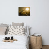 Golden Marsh Weeds Botanical Nature Photo Loose Unframed Wall Art Prints