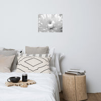 Infrared Flower 2 Black and White Floral Nature Photo Loose Unframed Wall Art Prints