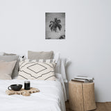 Palm Over Water Black and White Botanical Nature Photo Loose Unframed Wall Art Prints