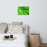 Peaceful Greenery Botanical Nature Photo Loose Unframed Wall Art Prints