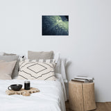 Rain Dropping on Canna Leaf Botanical Nature Photo Loose Unframed Wall Art Prints