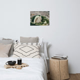 Seaweed and Shells Coastal Nature Photo Loose Unframed Wall Art Prints