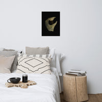 States of Erosion Image 5 Whelk Shell Coastal Nature Photo Loose Unframed Wall Art Prints
