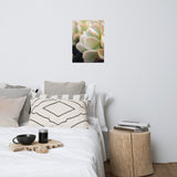 Succulent 4 Botanical Nature Photo Loose Unframed Wall Art Prints