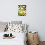 Tranquil Carolina Spring Beauty Floral Nature Photo Loose Unframed Wall Art Prints