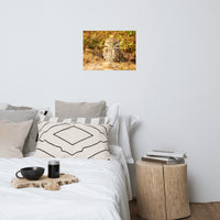 Burrowing Owl in Golden Light Wildlife Nature Photo Loose Wall Art Print