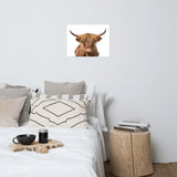 Golden Highland Cow Wildlife / Animal Photograph Loose Wall Art Prints