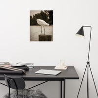 Aged and Colorized Snowy Egret on Pillar Loose Wall Art Print