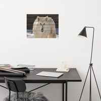 Aries the White Wolf Wildlife Photo Loose Wall Art Prints