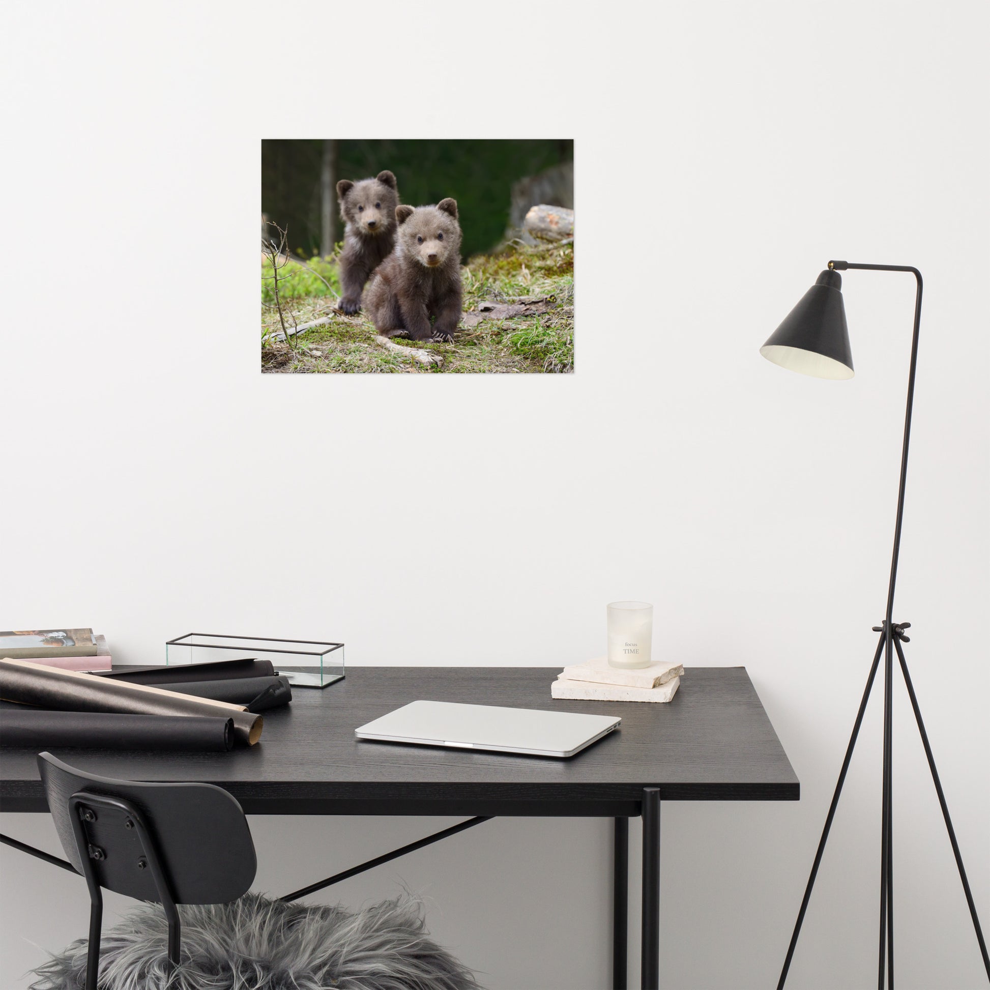 Play Room Prints: Adorable Grizzly Bear Cubs In The Trees Animal / Wildlife / Nature Photograph - Loose / Unframed / Frameable / Frameless Wall Art Print / Artwork