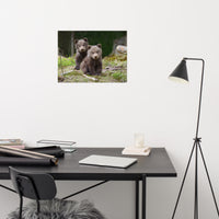 Baby Brown Bear Cubs In Forest Wildlife Photo Loose Wall Art Print